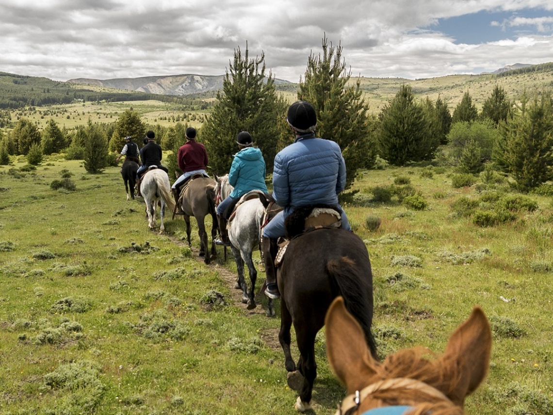 Horseback riding in the steppe half day 4