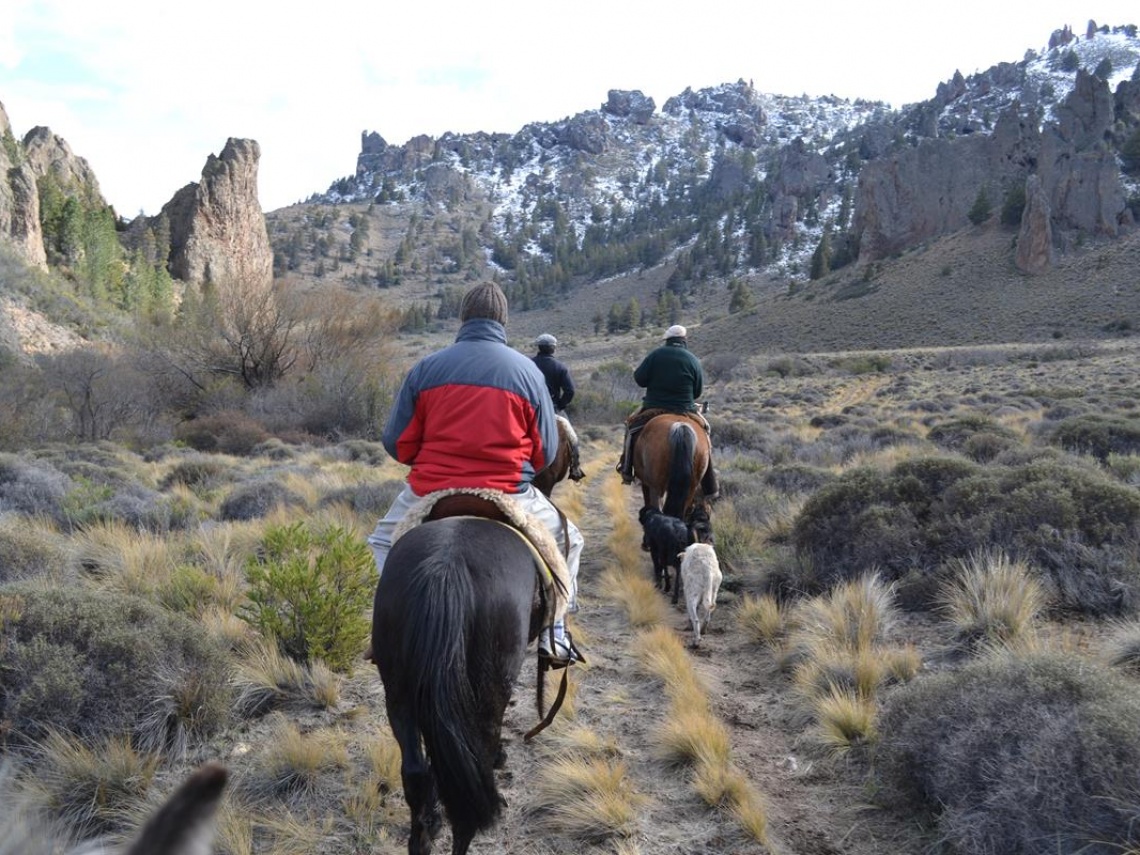 Horseback riding in the steppe full day  1