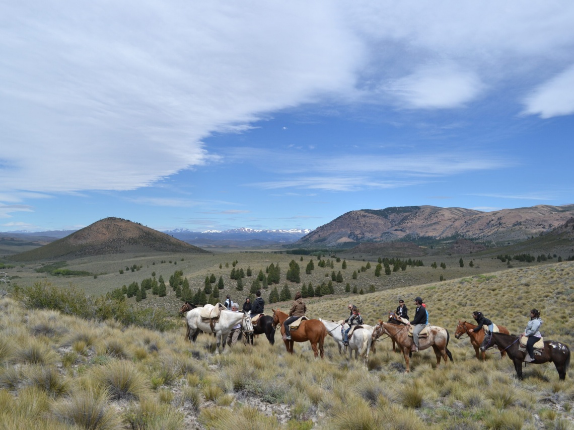Horseback riding in the steppe full day  3