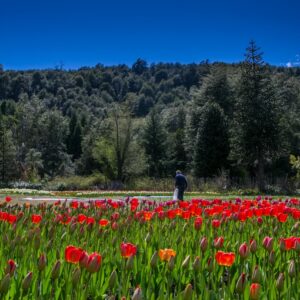 San Martín de los Andes por Ruta de los 7 Lagos