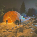 Winter Park - Cena Show