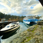 Navegación por Nahuel Huapi: Isla Victoria y Bosque de Arrayanes sin traslado