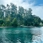 Puerto Blest y Cascada “Los Cantaros” Sin Traslado