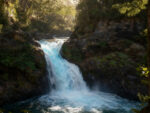 Puerto Blest y Cascada "Los Cantaros" con traslado - Imagen 2