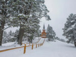 Circuito Chico y Cerro Campanario: explorá Bariloche como nunca antes - Image 2
