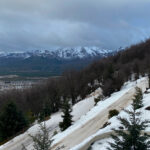 Traslado Colonia Suiza Bariloche: tradición, naturaleza y sabor