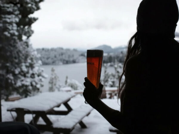 Transfer to Cervecería Patagonia Brewery: Craft beer and unique views